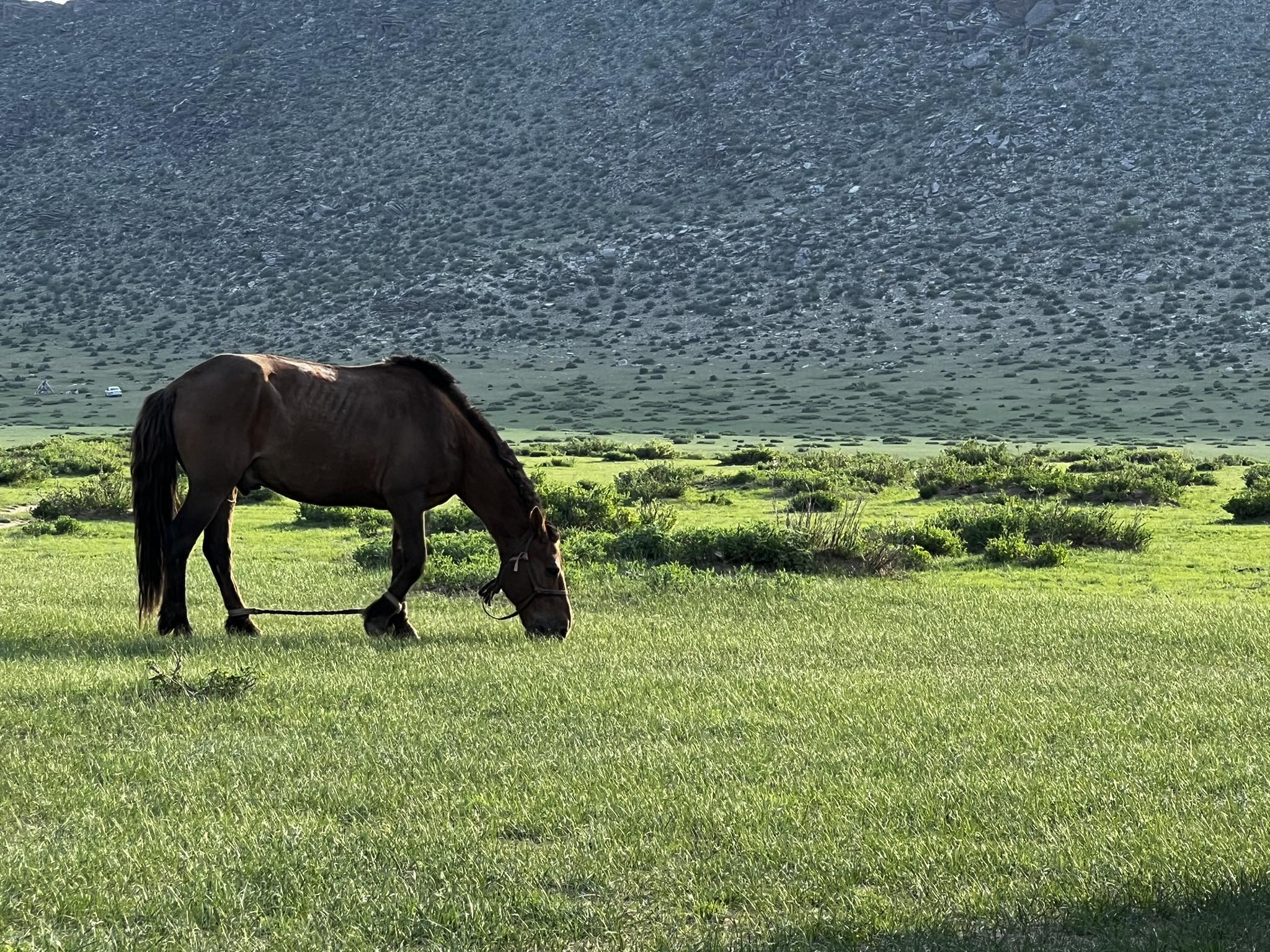 we went that mountain